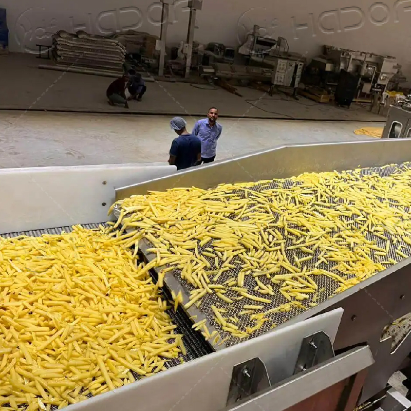 Install The French Fries Production Line - Company News - 1
